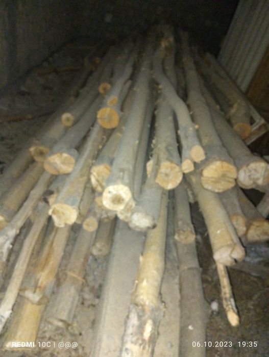 To'sin terak sotiladi