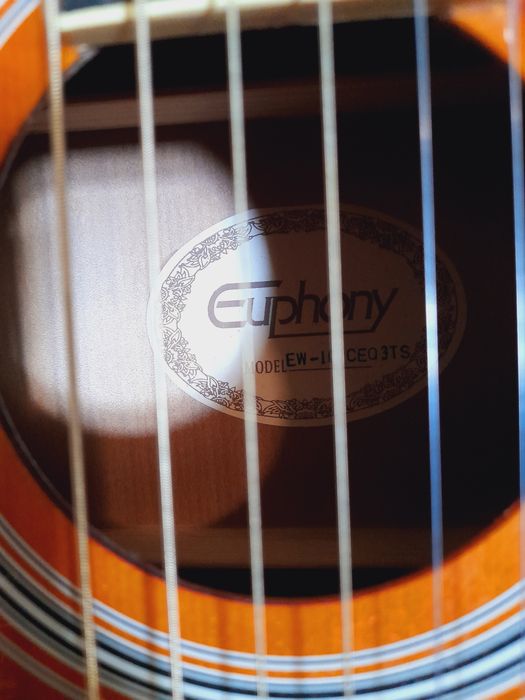 Ekvalayzerli Gitara Sotiladi