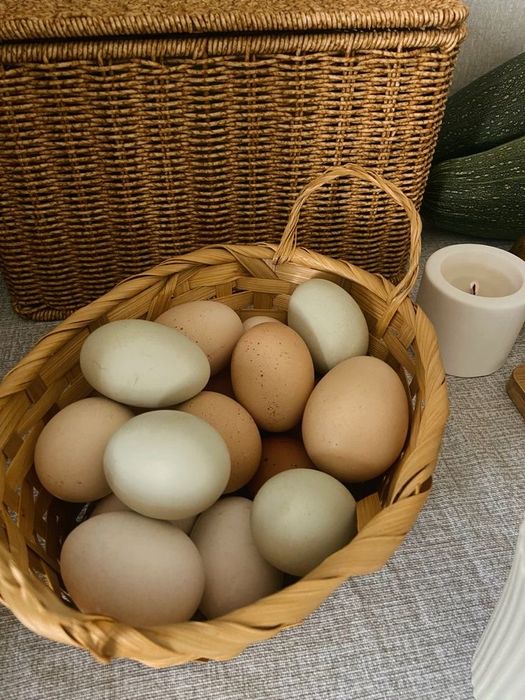 Яйцо дачное домашнее