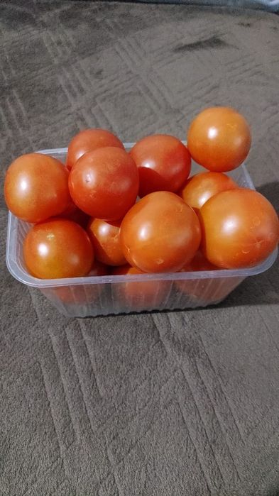 Продаются помидоры