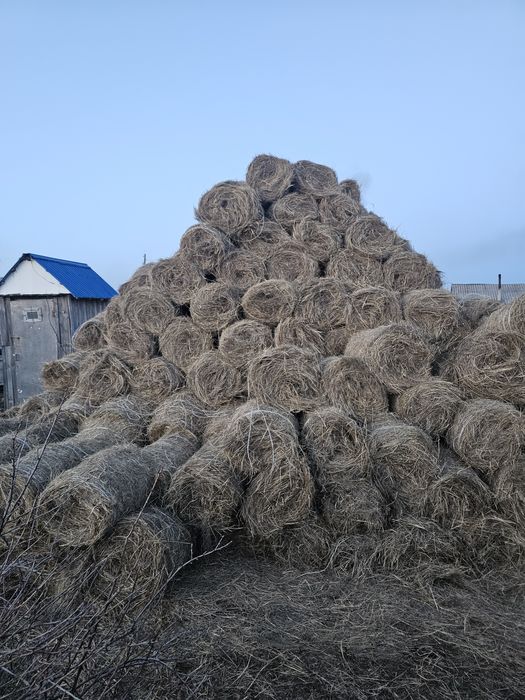 Продам сено 1300