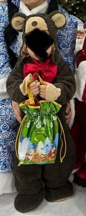 Новогодние костюмы лев и мишка