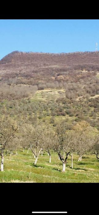 Teren extravilan de vanzare, zona Drumul Tarpiului, rid Subcetate