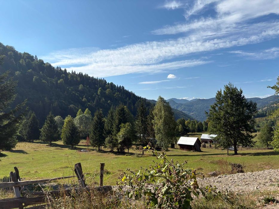 Teren intravilan 4.285 mp, Grințieș-Neamț, zona Ceahlău, 13 €/mp, se poate parcela