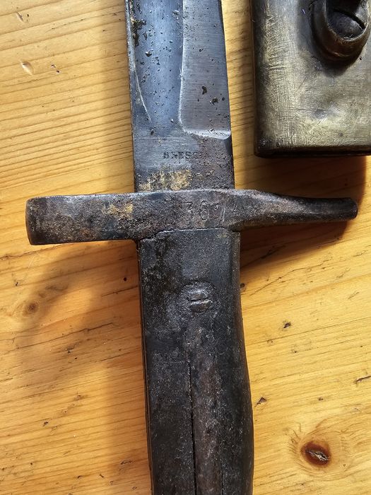 Италиански Щик Ветерли с кания