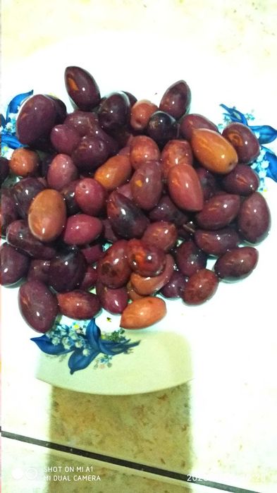 Măsline origine Grecia