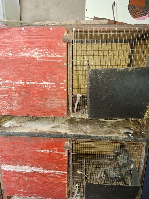 Клетки #клетки#,