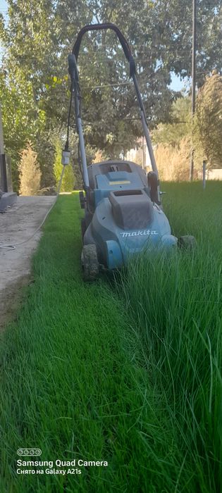 Газон услуги садовник. Богбон.