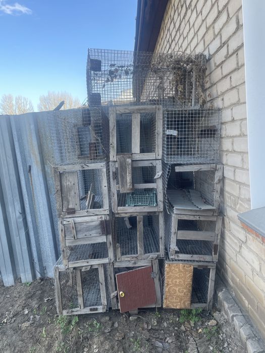 Клетка для цеплят