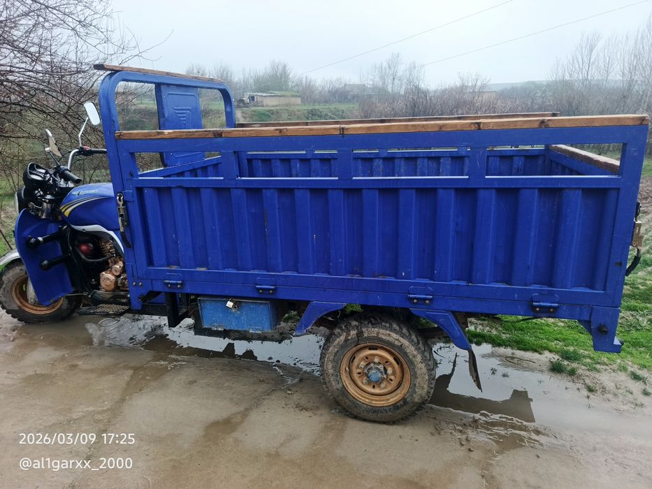 Lochin 2024 yil holati yaxshi