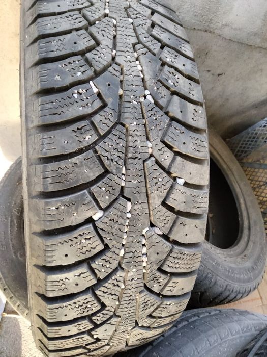 Продам шины      .