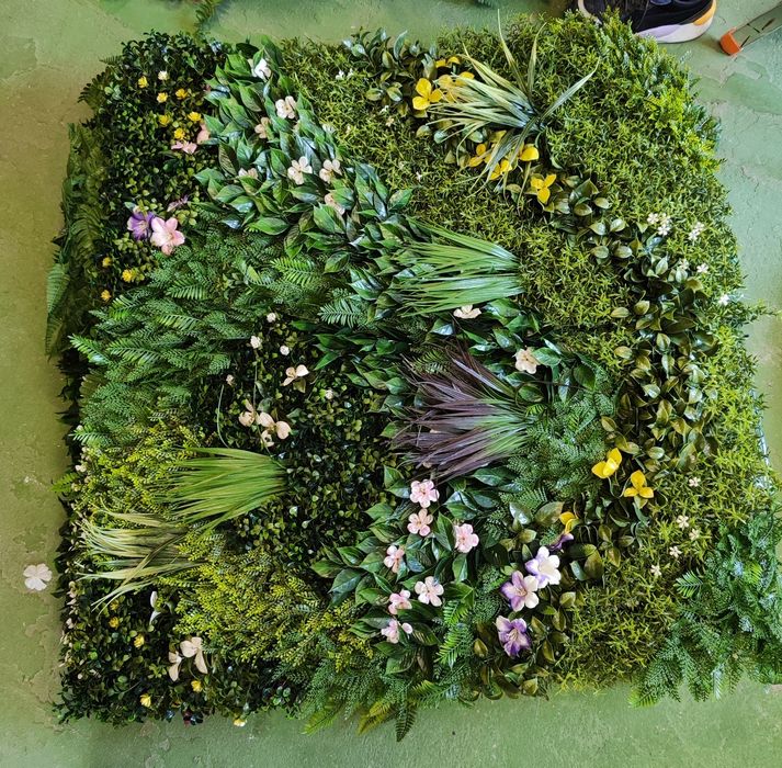 Зелена стена за декорация