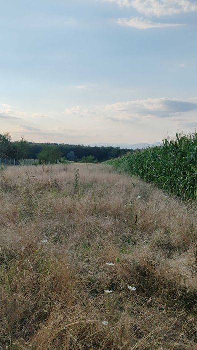 Teren de vânzare