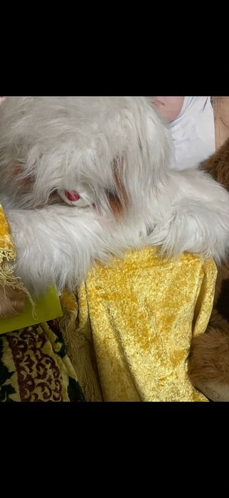 Отдам мягкие игрушки