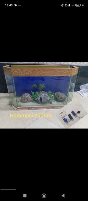 Калин Дарвоза 310/250 шумка буган спез заказга ясалган 2 йил буган урн