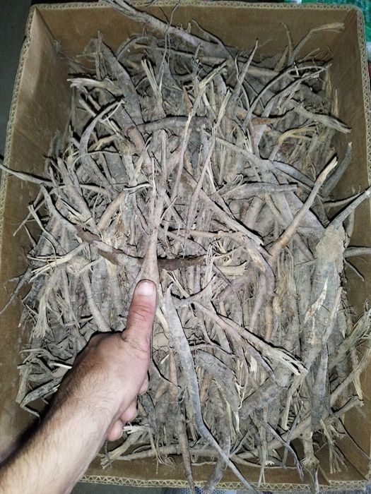 Kavrok koʻchatlari sotiladi qalinligi rasmda keltirilgan