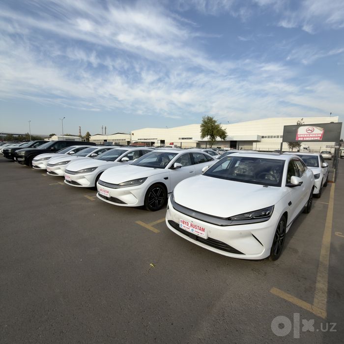 Byd qin l plus restayling 2025 декабрь без пробек