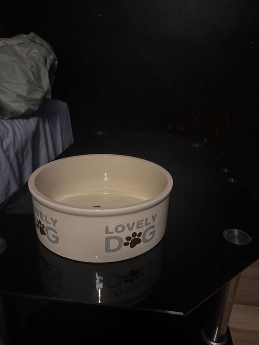 Кучешки дрешки и стоки