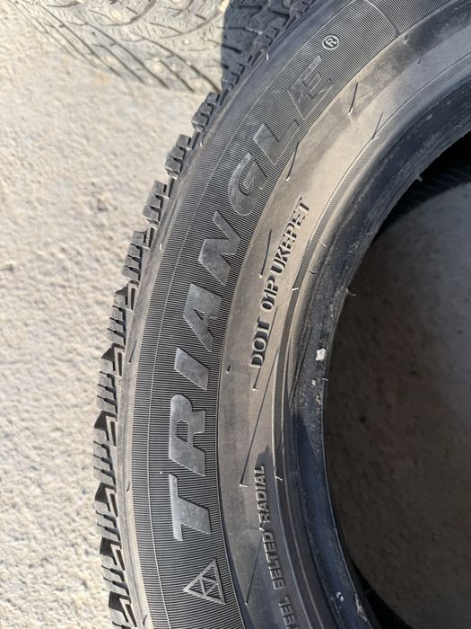 Зимний шины шипами Triangle