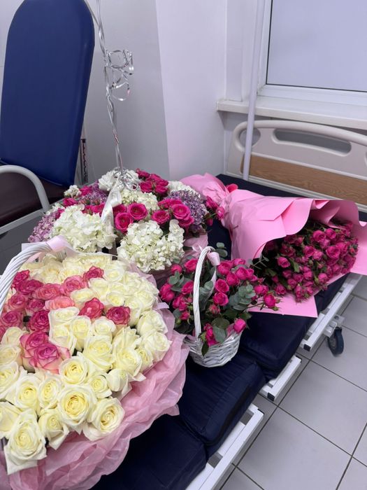 Гортензий больши