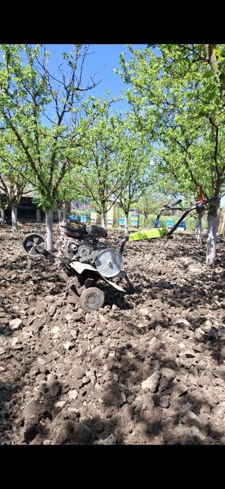 Вила в местност Новите лозя