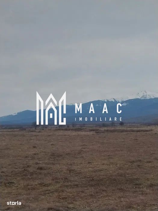 Teren intravilan I Valea Avrigului I 5000 mp