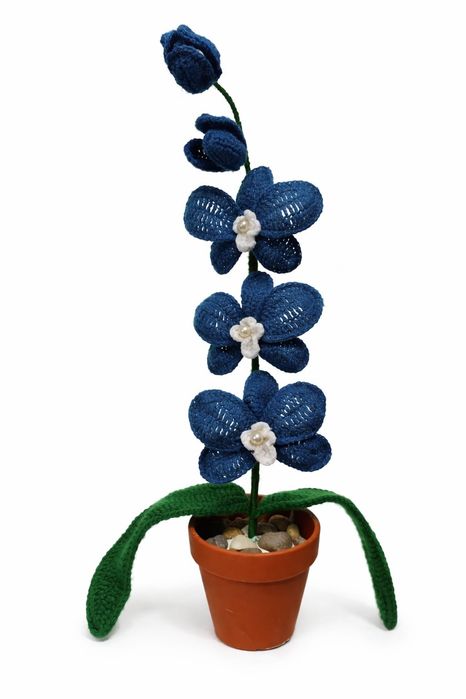 Orhidee crosetata manual