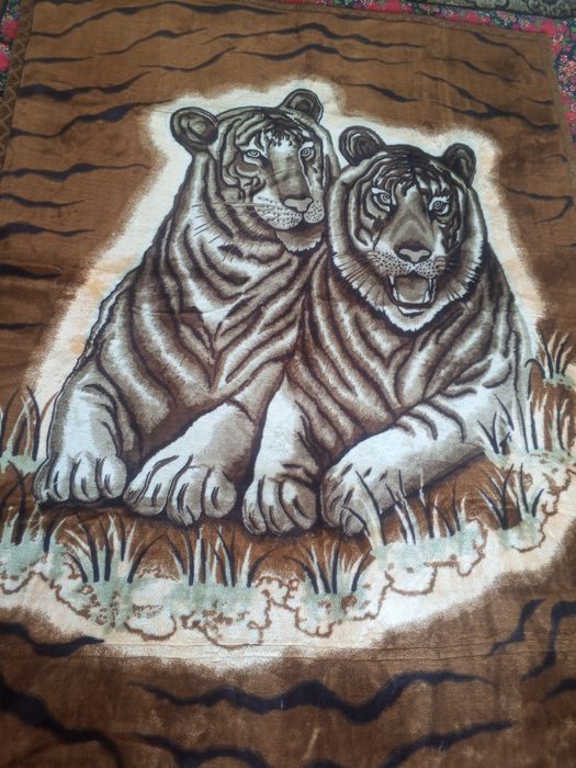 Адёл Сотилади калин