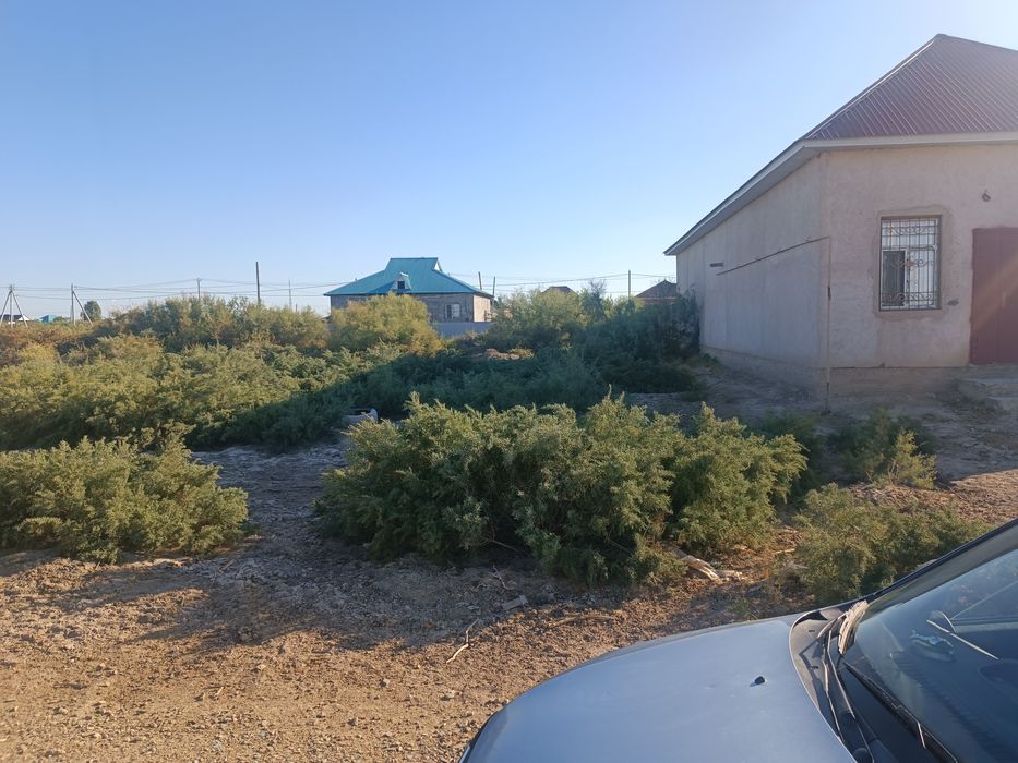 Шұғыл түрде Жер сатылады.