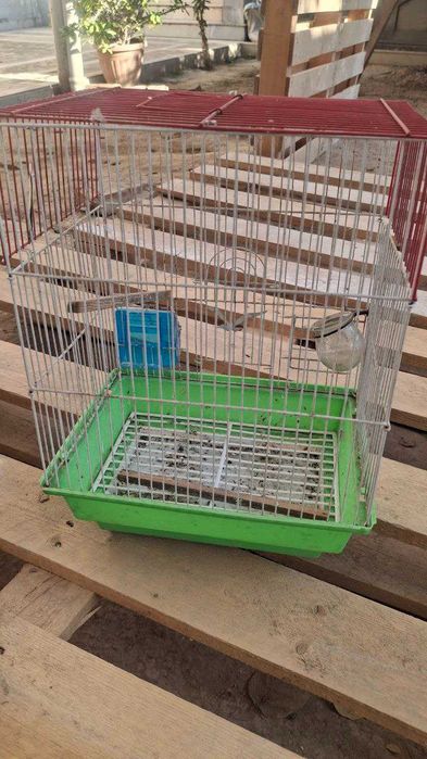клетки для ваших птиц
клетки для ваших птиц