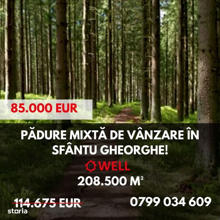 Pădure mixtă de vânzare în Sfântu Gheorghe!