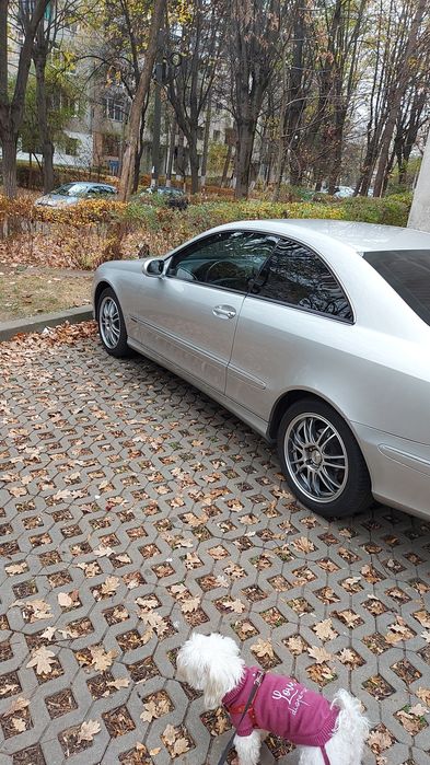 MERCEDES-BENZ CLK-Class 2003 — imagine 3