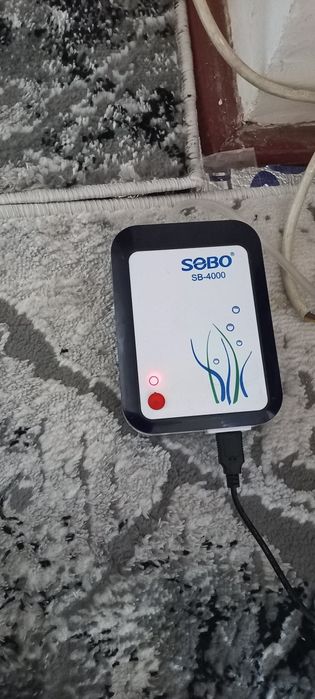 Akvarium sotiladi Baliqlari bilan.