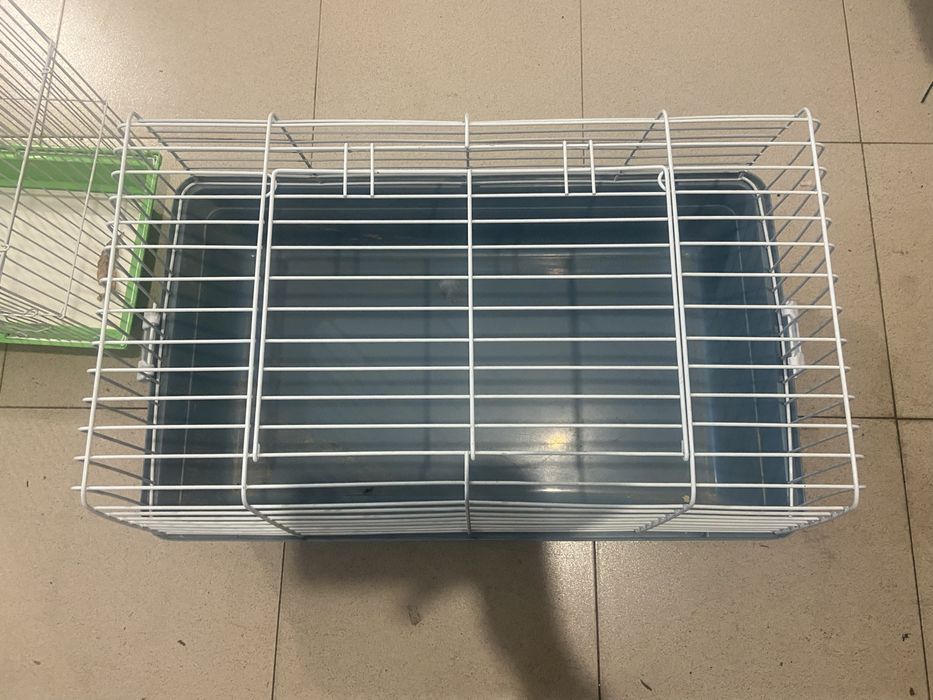 Животински клетки