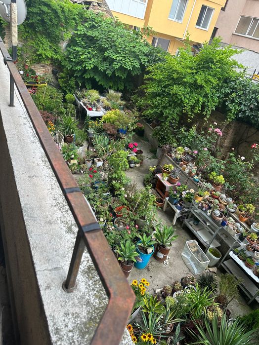 Дава се под наем Двустаен апартамент в Варна, Колхозен пазар - 45 кв.м за 357 € - Снимка #7