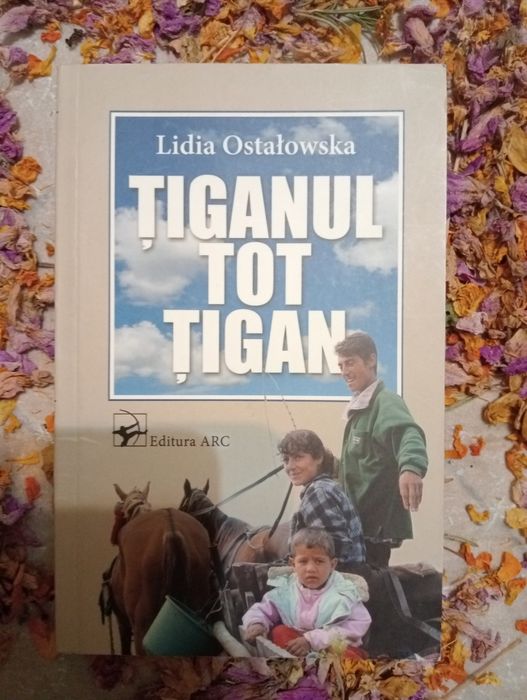 Carte Tiganul tot Tigan