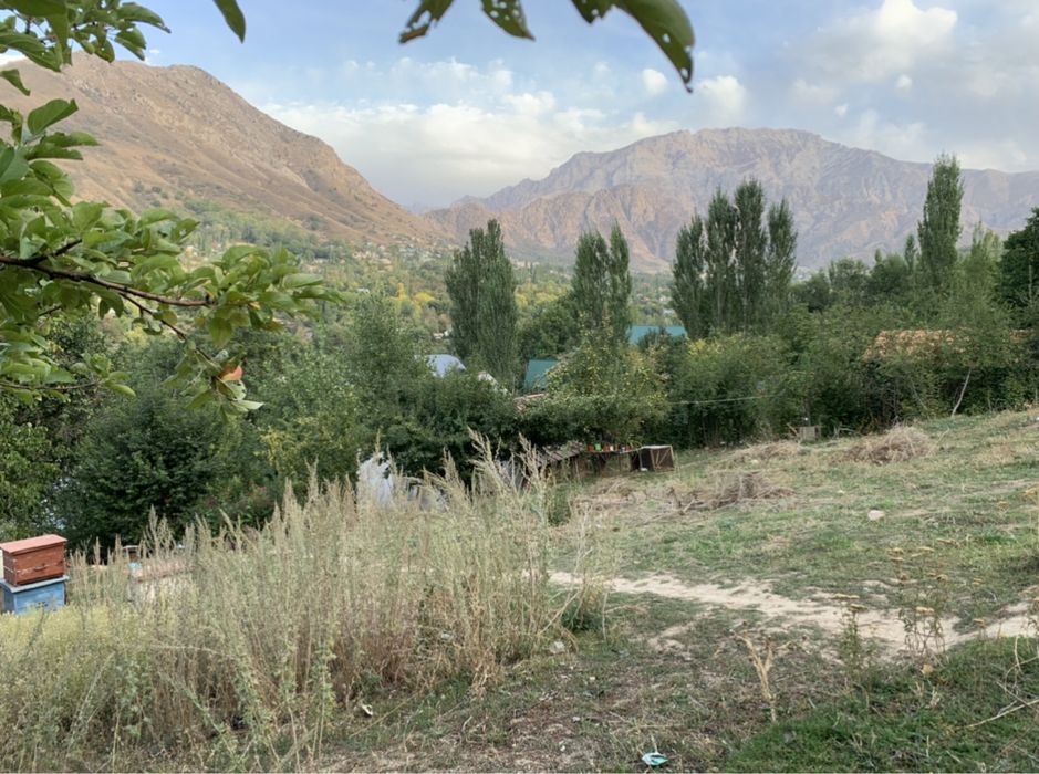 Чимёнда  5 соток  дача сотилади !!!  Сув, свет, централь  канализация.