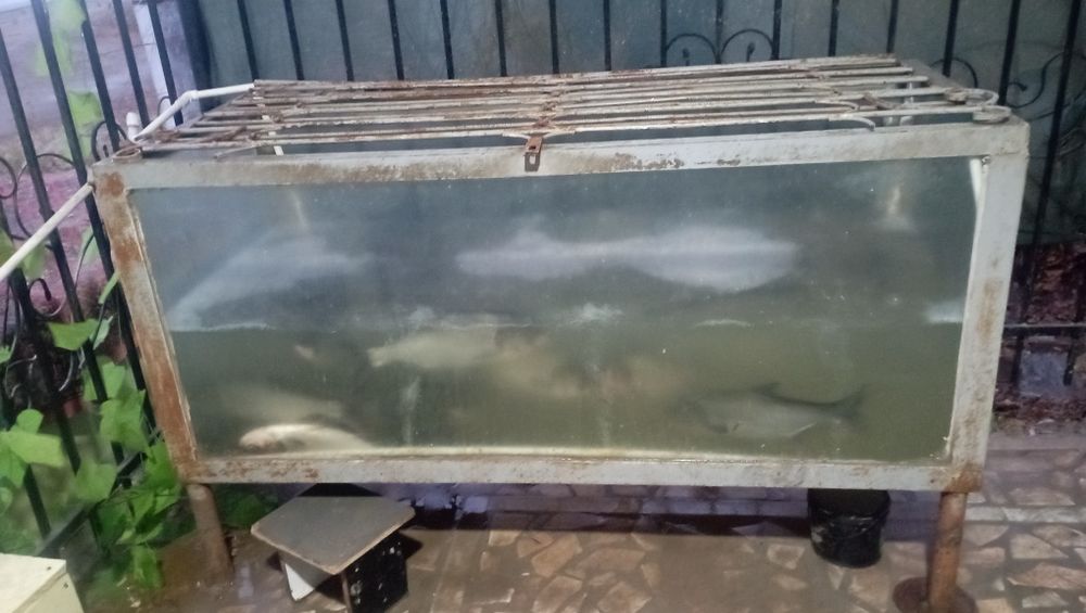 Аквариум сотилади