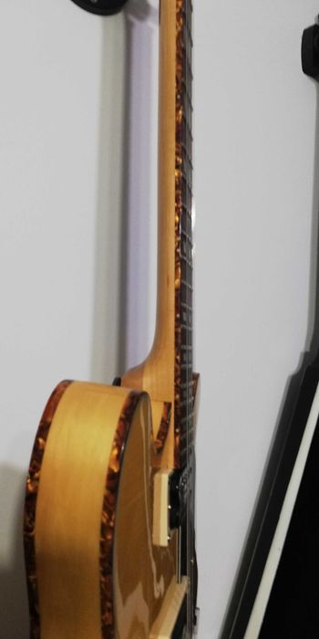 Chitara Holowbody Custom , doze Seymour Duncan