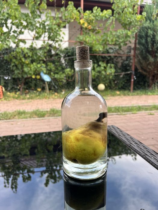 Para in sticla.