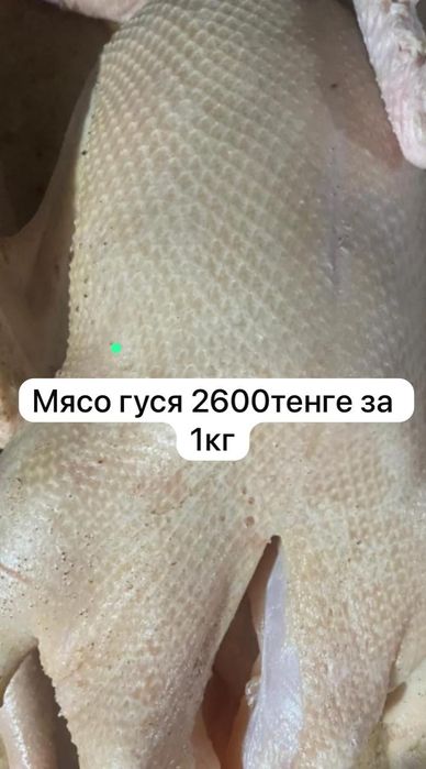 Акция Гуси хорошие