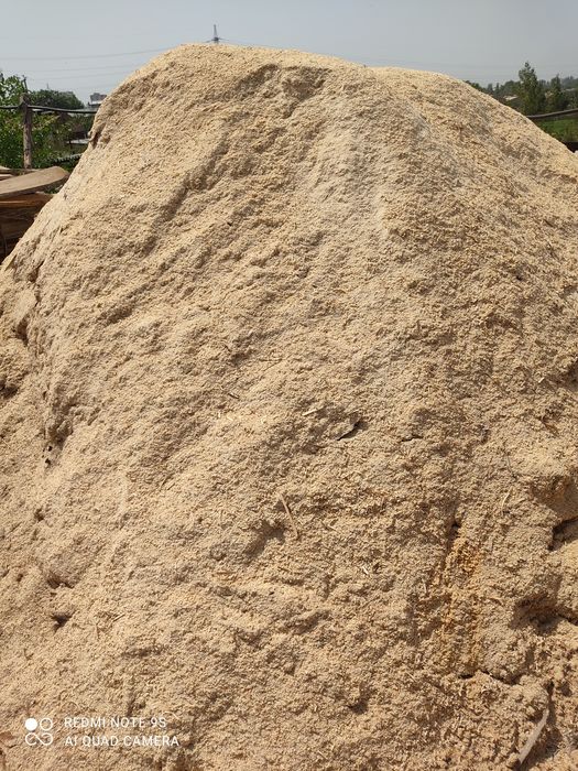 Apilka sotiladi mayda yirik aralash quruq