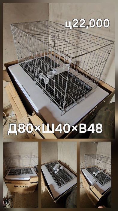 Голуби на выстовке