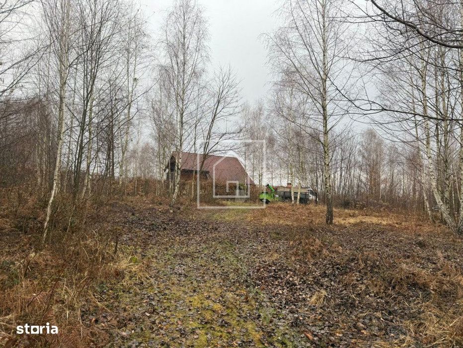 Teren intravilan pentru cabana pe Valea Avrigului