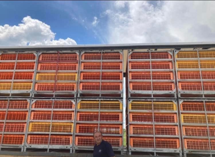 Container metalic transport pasări EGEA.