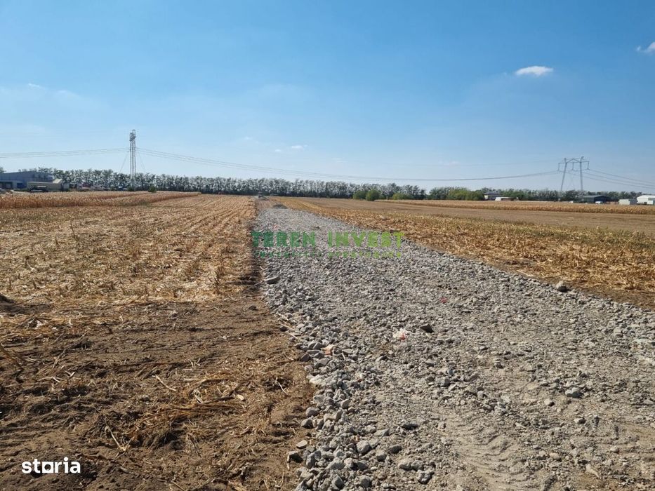 Vânzare teren industrial 2.000 mp Frumușani