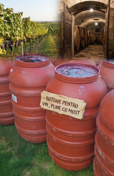 butoi de plastic 220l pentru muraturi , varza murata , alimentare , groase