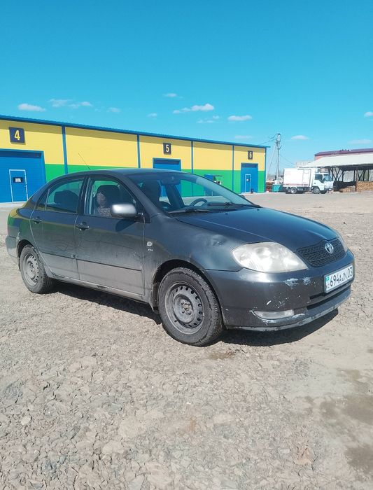 Продам королу 2004