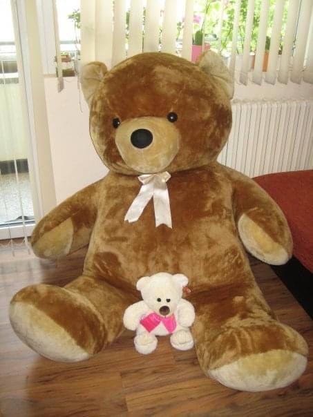 Голяма Плюшена мечка