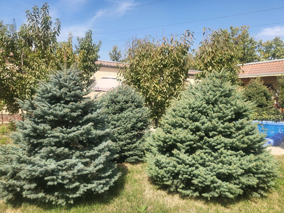 Дом в махалле Катта Хасанбай Юнусабадского района